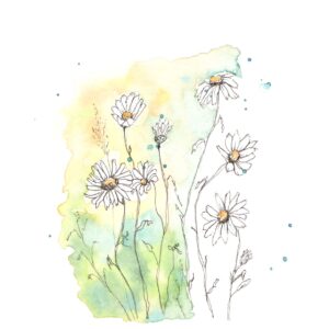 Carte Daisies in dance